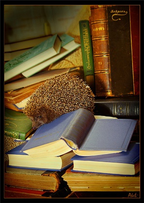 Слоговой метод. ч2